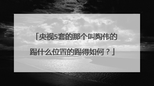 央视5套的那个叫陶伟的踢什么位置的踢得如何？