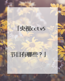 央视cctv5节目有哪些?
