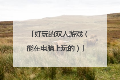 好玩的双人游戏（能在电脑上玩的）