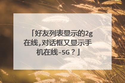 好友列表显示的2g在线,对话框又显示手机在线-5G?
