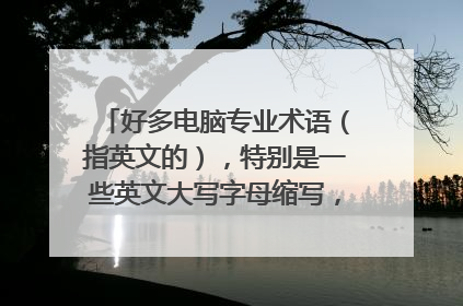 好多电脑专业术语(指英文的),特别是一些英文大写字母缩写,在哪里有专门介绍这些英文意思的?帮忙。