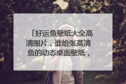 好运鱼壁纸大全高清图片,谁给张高清鱼的动态桌面壁纸,好的话加分哦