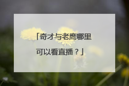 奇才与老鹰哪里可以看直播？