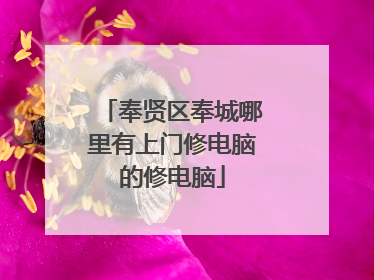 奉贤区奉城哪里有上门修电脑的修电脑