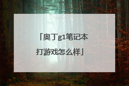 奥丁g1笔记本打游戏怎么样