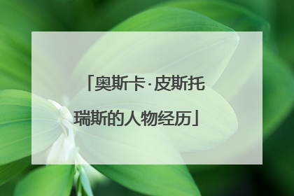 奥斯卡·皮斯托瑞斯的人物经历