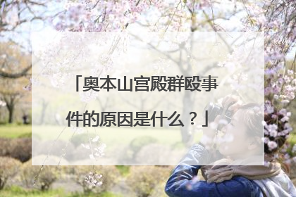 奥本山宫殿群殴事件的原因是什么？