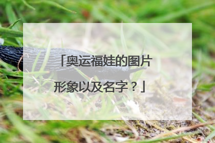 奥运福娃的图片形象以及名字？