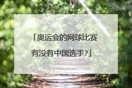 奥运会的网球比赛有没有中国选手?