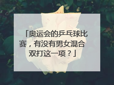 奥运会的乒乓球比赛，有没有男女混合双打这一项？