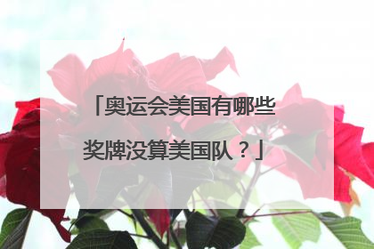 奥运会美国有哪些奖牌没算美国队？