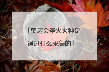 奥运会圣火火种是通过什么采集的