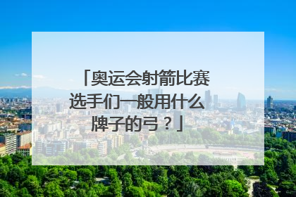 奥运会射箭比赛选手们一般用什么牌子的弓?
