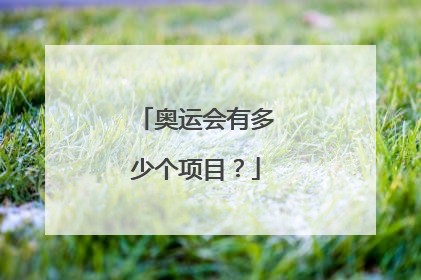 奥运会有多少个项目？