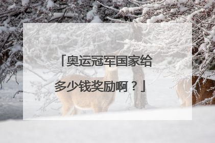 奥运冠军国家给多少钱奖励啊?