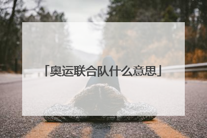 奥运联合队什么意思