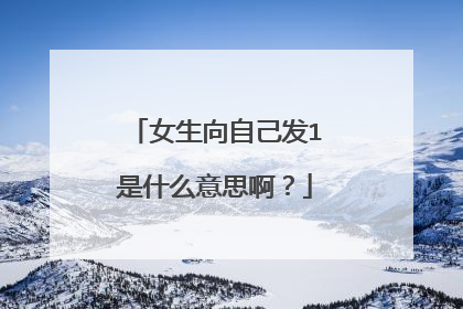 女生向自己发1是什么意思啊?