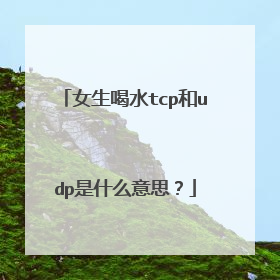 女生喝水tcp和udp是什么意思?