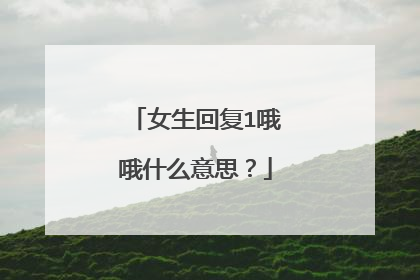 女生回复1哦哦什么意思？