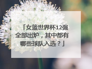 女篮世界杯12强全部出炉，其中都有哪些球队入选？