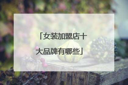 女装加盟店十大品牌有哪些