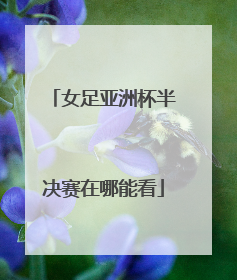 女足亚洲杯半决赛在哪能看