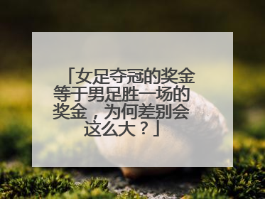 女足夺冠的奖金等于男足胜一场的奖金，为何差别会这么大？
