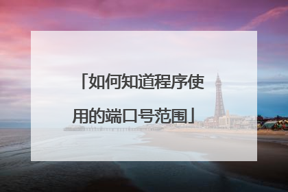 如何知道程序使用的端口号范围