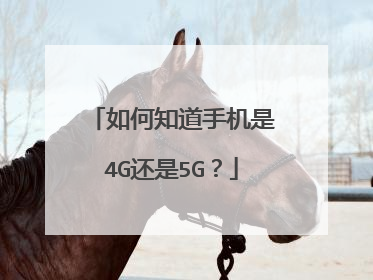 如何知道手机是4G还是5G？