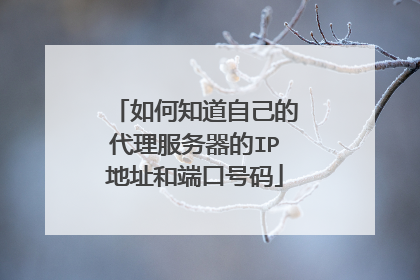 如何知道自己的代理服务器的IP地址和端口号码