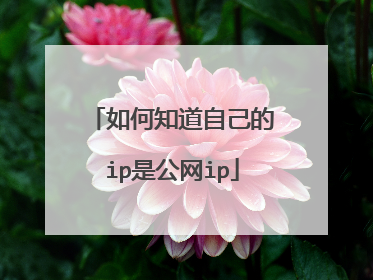如何知道自己的ip是公网ip
