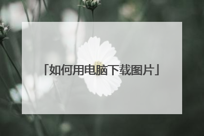 如何用电脑下载图片