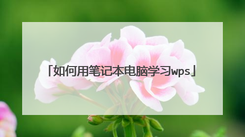 如何用笔记本电脑学习wps