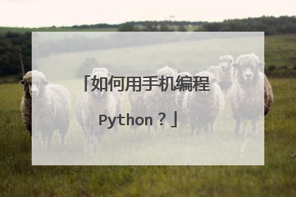 如何用手机编程Python?