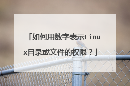 如何用数字表示Linux目录或文件的权限?