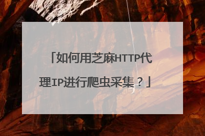 如何用芝麻HTTP代理IP进行爬虫采集?