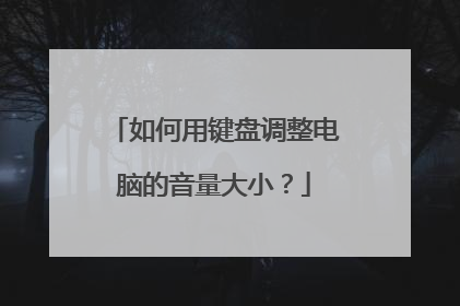 如何用键盘调整电脑的音量大小?
