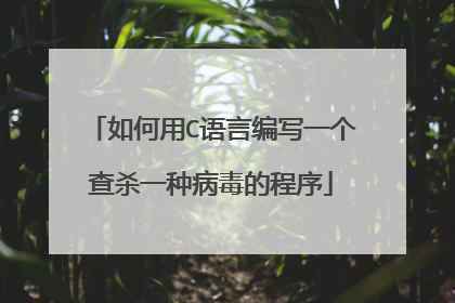 如何用C语言编写一个查杀一种病毒的程序