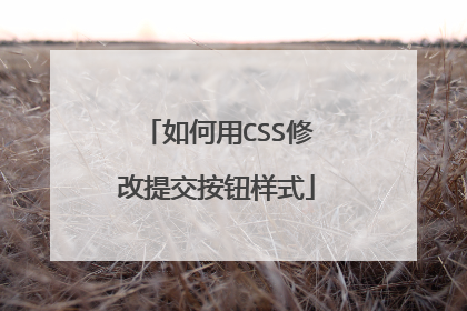 如何用CSS修改提交按钮样式