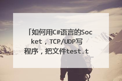 如何用C#语言的Socket,TCP/UDP写程序,把文件test.txt发送到服务器