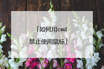 如何用cmd禁止使用鼠标