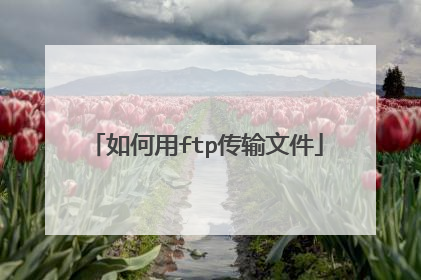 如何用ftp传输文件
