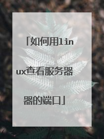 如何用linux查看服务器器的端口