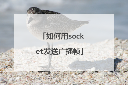 如何用socket发送广播帧