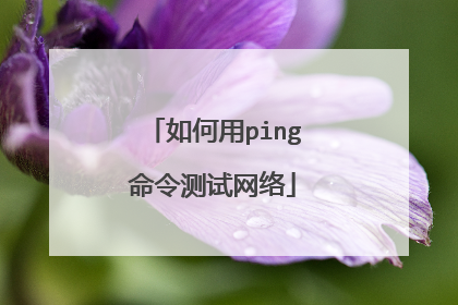 如何用ping命令测试网络
