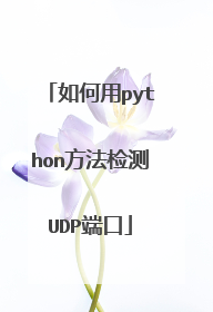如何用python方法检测UDP端口