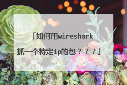 如何用wireshark抓一个特定ip的包???