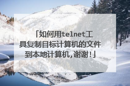 如何用telnet工具复制目标计算机的文件到本地计算机,谢谢!