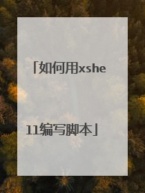 如何用xshell编写脚本
