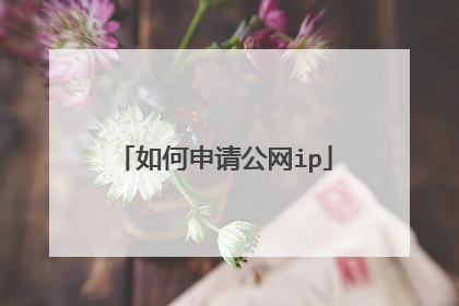 如何申请公网ip